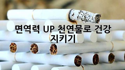 면역력 UP! 천연물로 건강 지키기