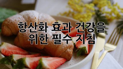 항산화 효과: 건강을 위한 필수 지침