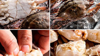 놓치면 후회! 암꽃게철🦀 역대급 할인 후기